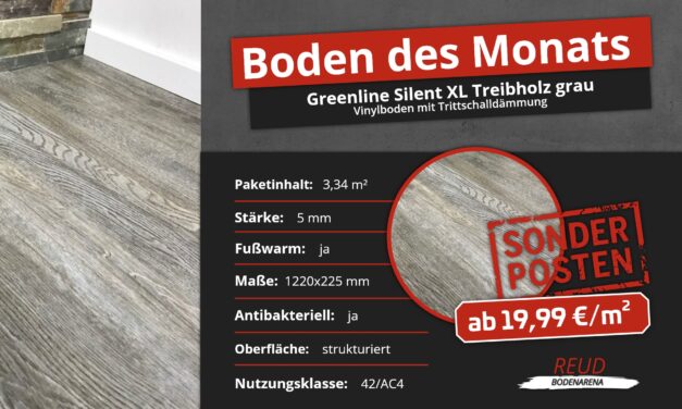 Vinylboden Greenline Silent XL Treibholz grau | Boden des Monats Oktober 2023