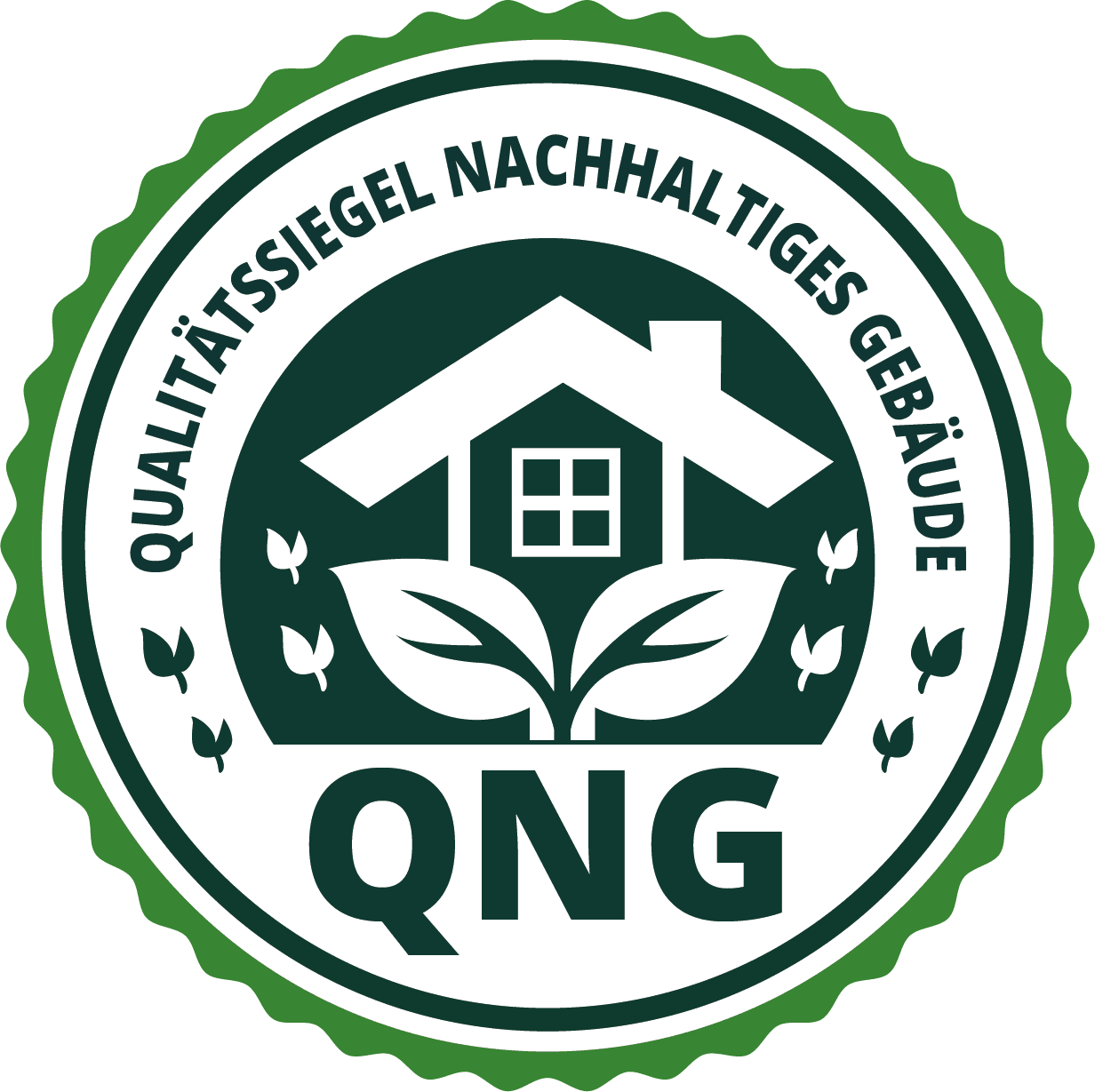 QNG Logo