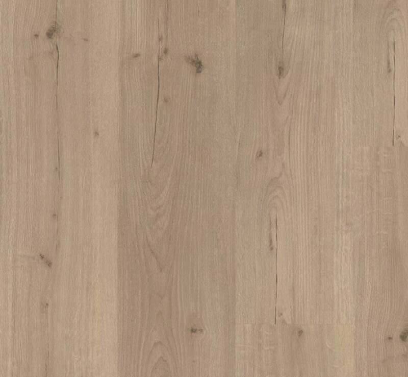 Parador Basic 30 Eiche Infinity grau Vinylboden HDF-Träger mit Trittschalldämmung