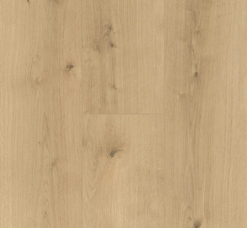 Eiche Pure Natur Landhausdiele Designboden Parador Modular ONE Klick - Image 5