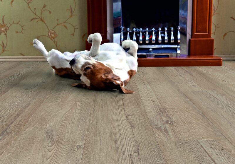 Repac SolidLock Classic Smoky Pine Landhausdiele Vinylboden Klick - Image 4