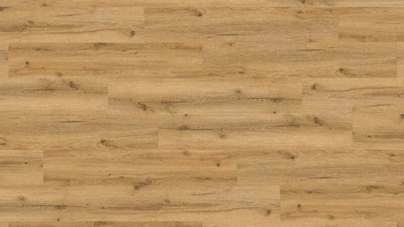 X-Cellent Eiche Daisy SPC mit integrierte Trittschalldämmung Vinylboden